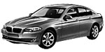BMW F10 P1065 Fault Code
